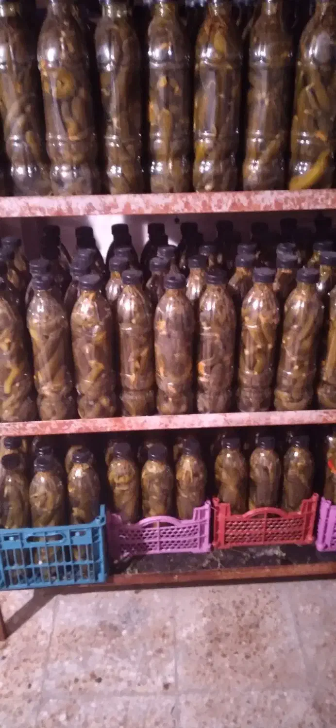 خیارشوربطری ونایی|خوردنی و آشامیدنی|سیلاخور, |دیوار