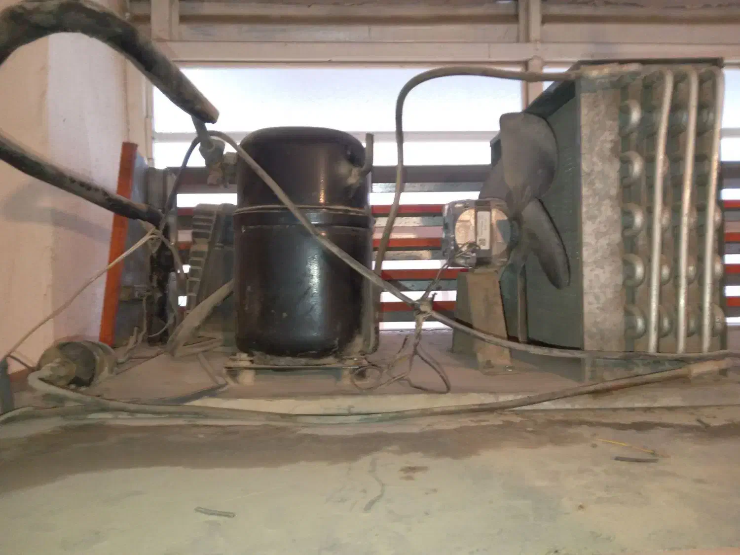 یخچال مغازه|فروشگاه و مغازه|مینودشت, |دیوار