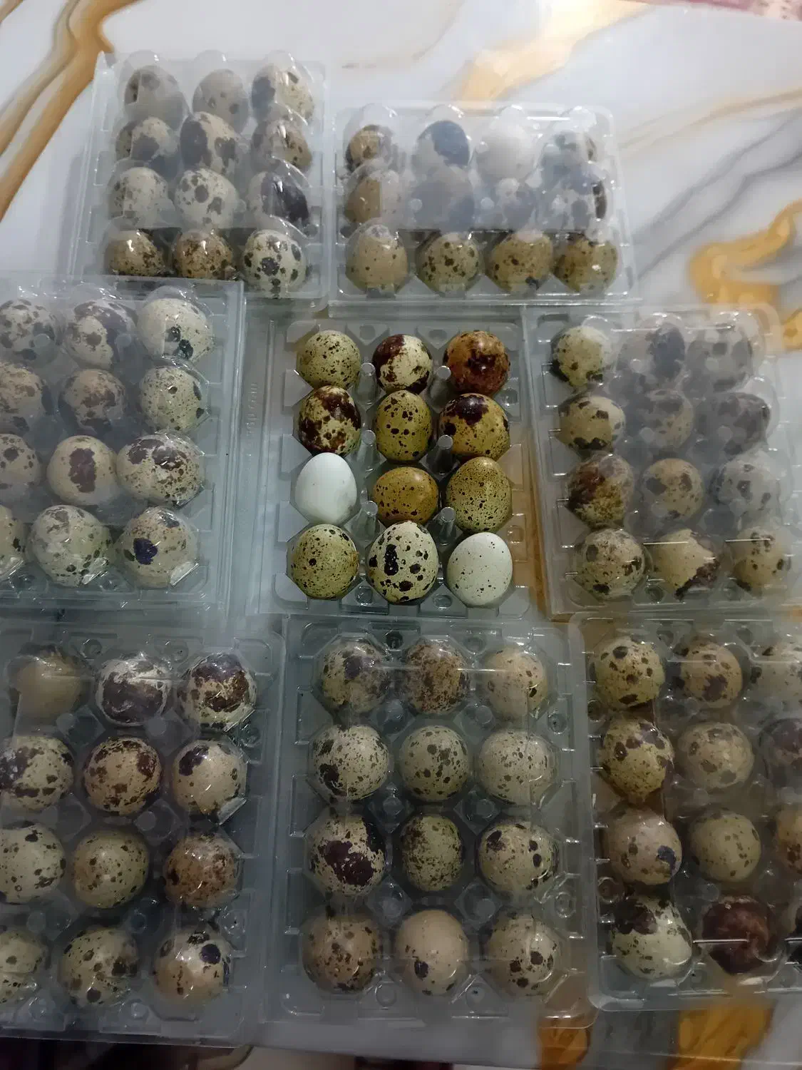 تخم بلدرچین تازه بسته ای ۵۰هزارتومان|خوردنی و آشامیدنی|آبکوه, |دیوار