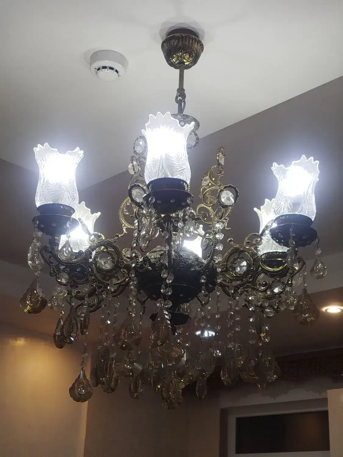 لوستر برنج،شش شاخه|لوستر و چراغ آویز|قزوین, |دیوار