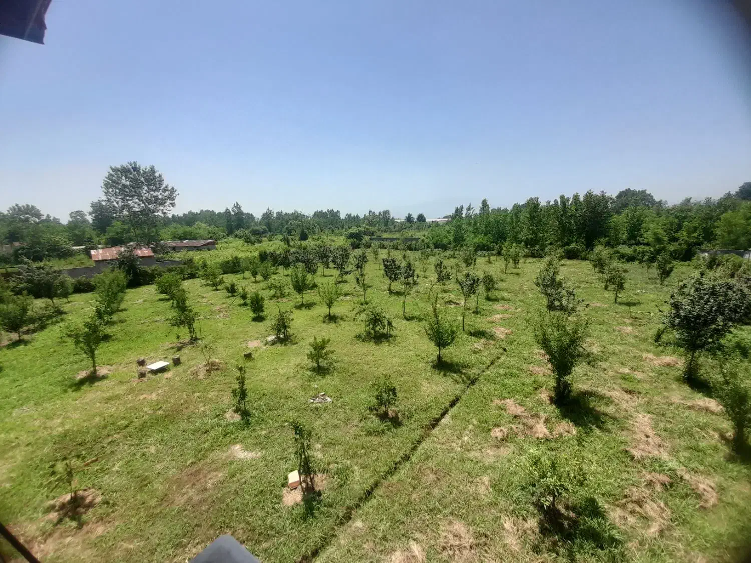 فروش ویلا باغ|فروش خانه و ویلا|رشت, لاکان|دیوار