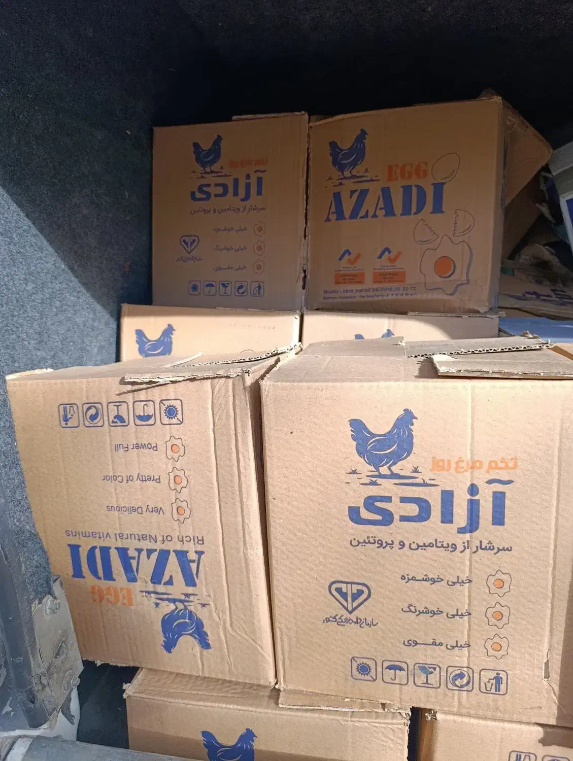 تخم مرغ آزادی وزینی ارمغان باران|خوردنی و آشامیدنی|همدان, |دیوار