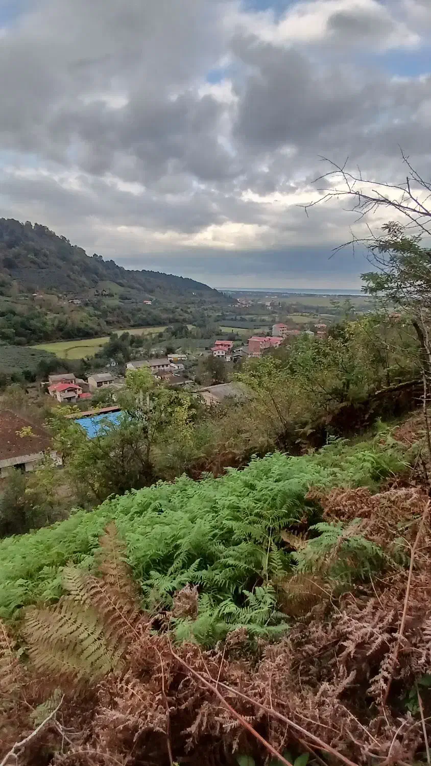 زمین ویلایی|فروش زمین و ملک کلنگی|لوندویل, |دیوار