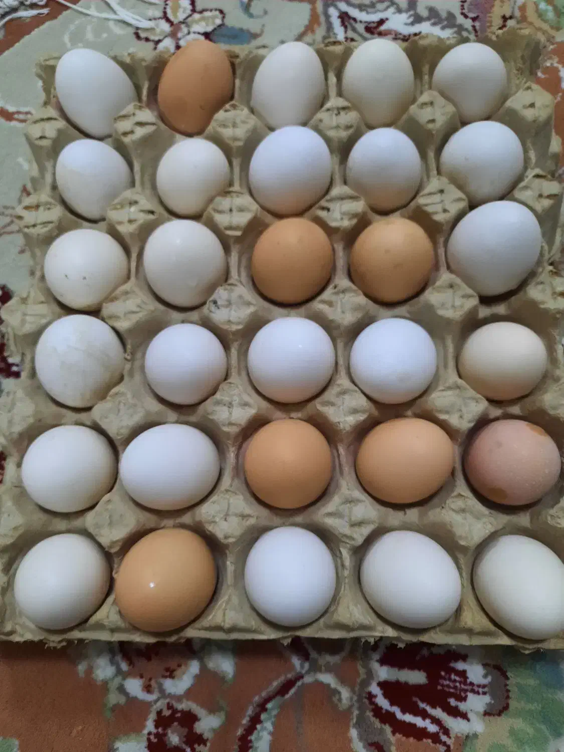 تخم مرغ بومی|خوردنی و آشامیدنی|نجفآباد, یزدانشهر|دیوار