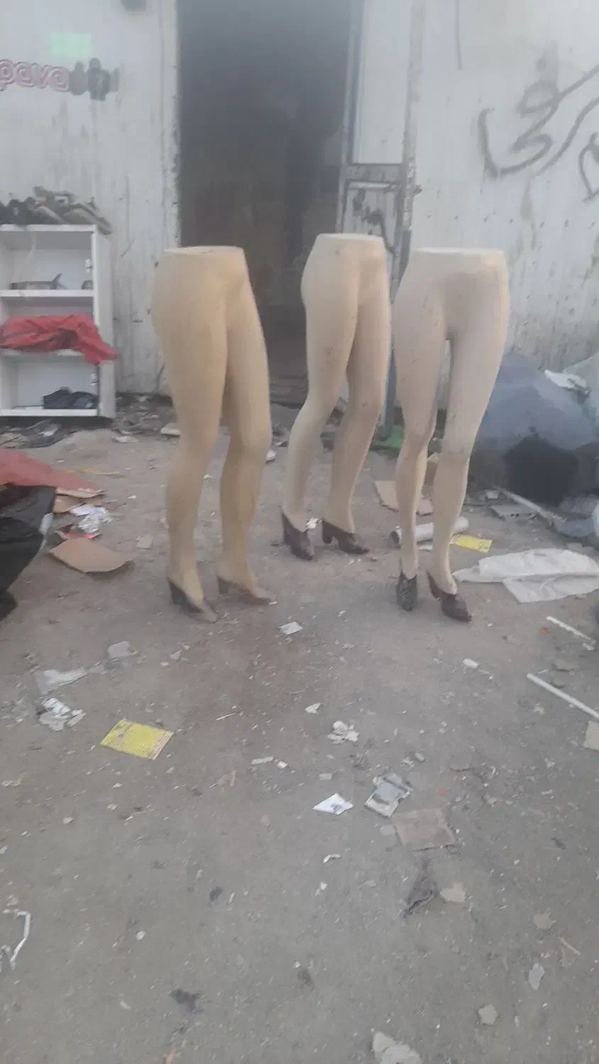 مانکن پایی یا نیم تن پا|فروشگاه و مغازه|رباطکریم, الارد|دیوار