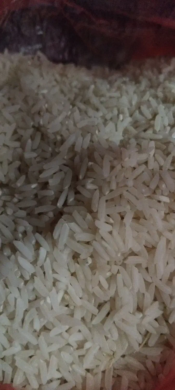 برنج محلی دم سیاه بوجار شده درجه یک|خوردنی و آشامیدنی|آزادشهر, |دیوار