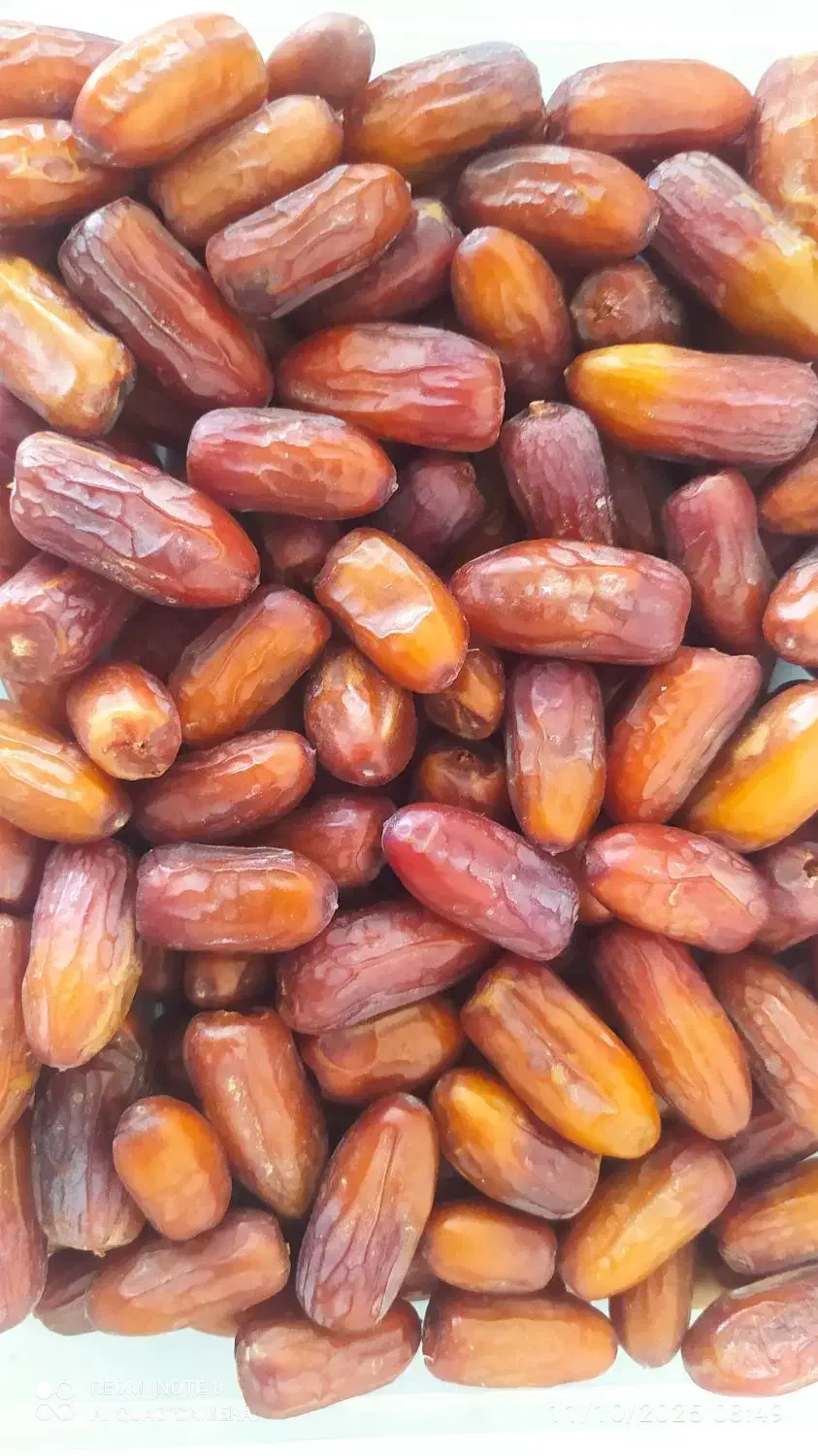 خرما مضافتی سحر آمیز بسته بندی صادراتی پلمپ شده|خوردنی و آشامیدنی|سراوان, |دیوار