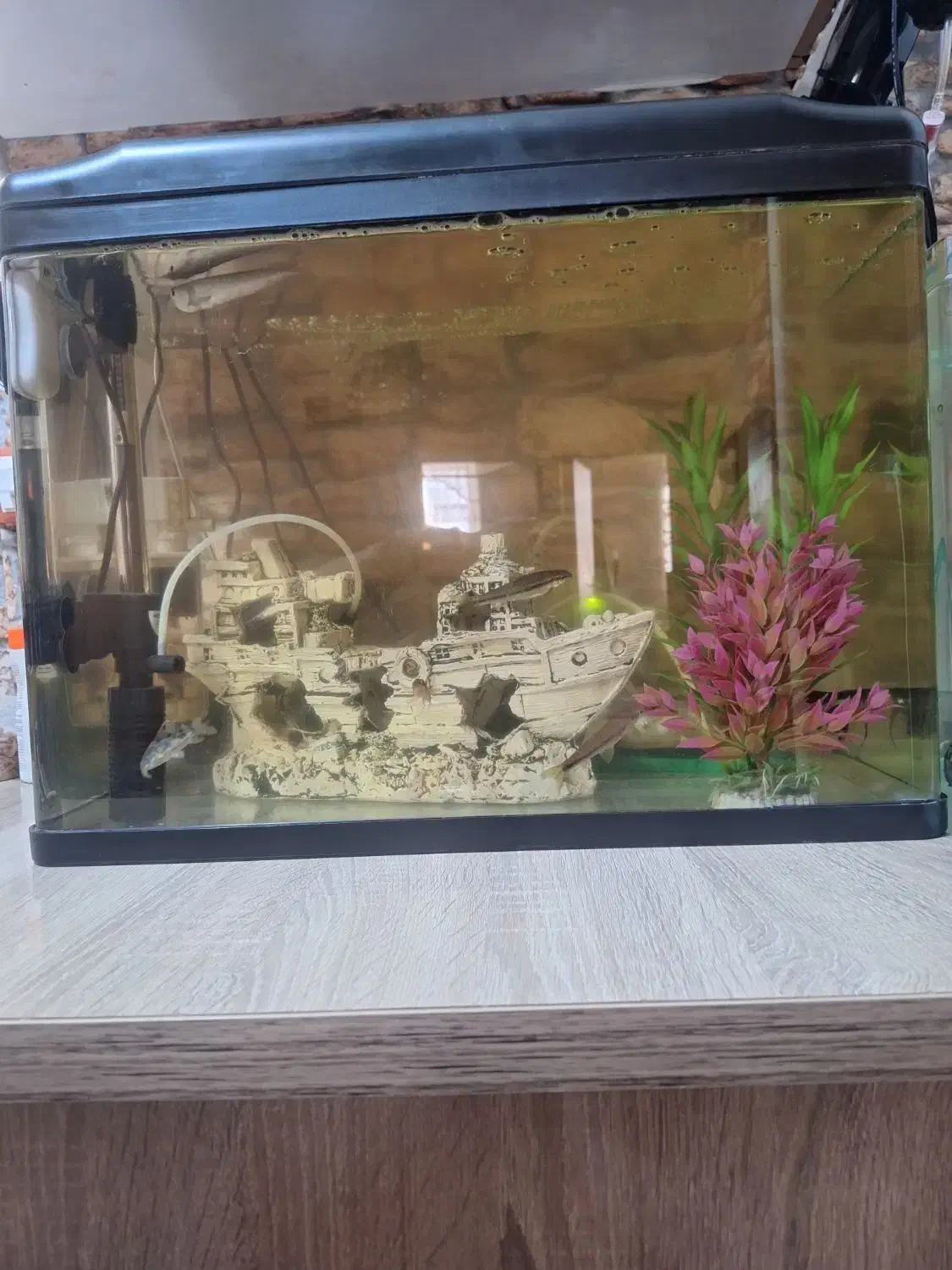 آکواریوم دلسا|ماهی|تهران, شهرک امام خمینی|دیوار