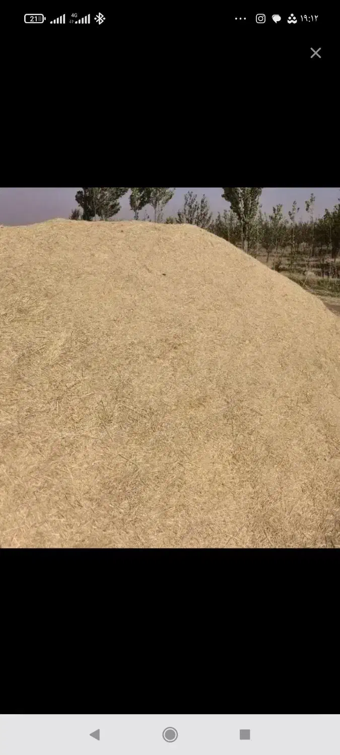 فروش کاه گندم|عمده‌فروشی|گل تپه, |دیوار
