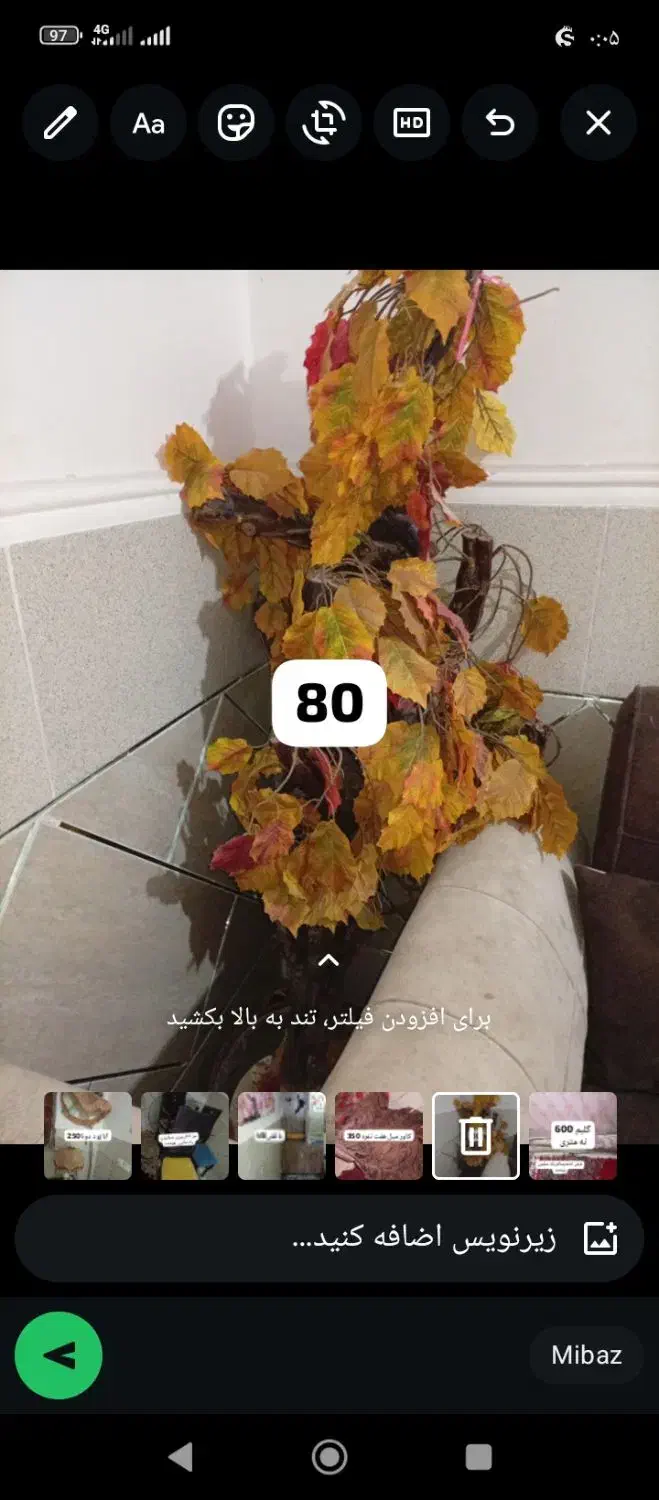 لوازم خانه|فرش|میناب, |دیوار