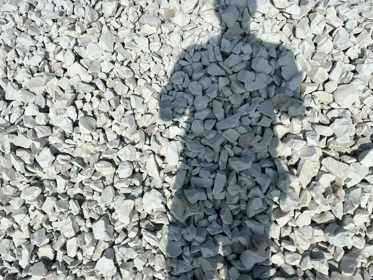 معدن زئولیت مخصوص آبزیان|ماهی|اهواز, دانشگاه چمران|دیوار