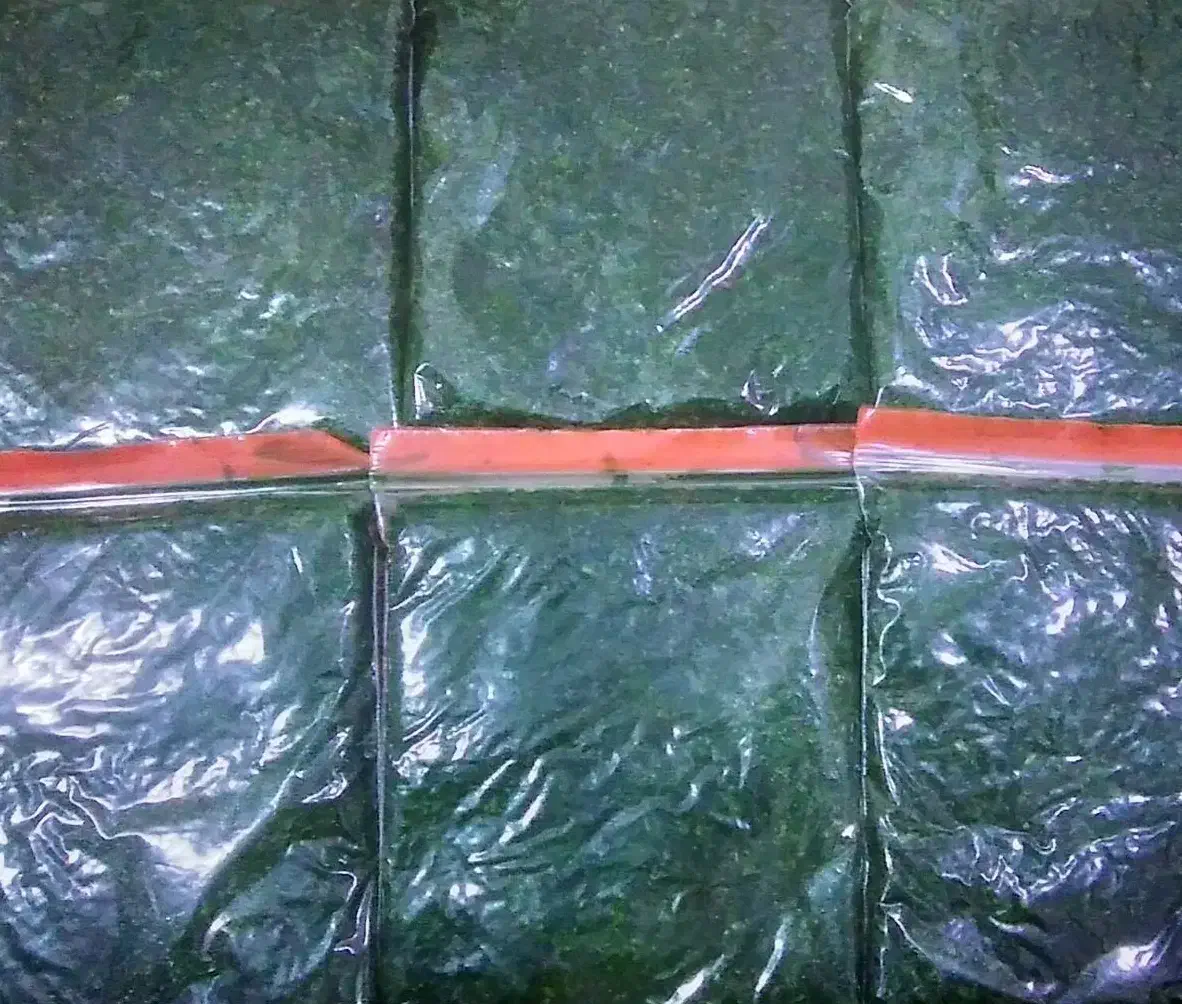 سبزی خورشتی و ماهی|خوردنی و آشامیدنی|بندر امام خمینی, |دیوار