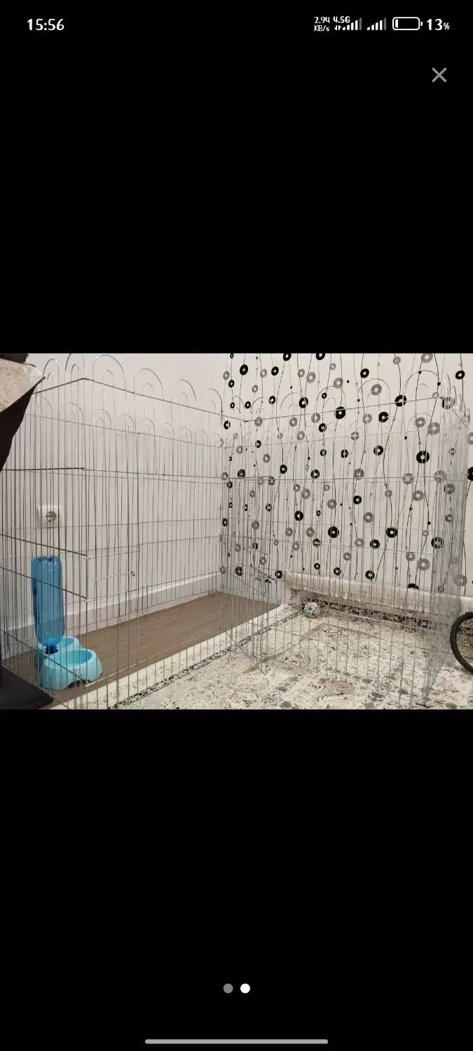 وسایل حیوانات|لوازم جانبی حیوانات|چناران, |دیوار