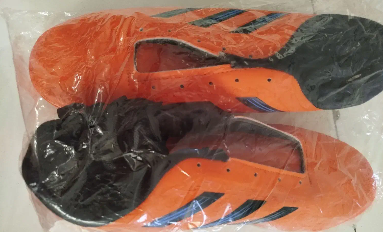 کفش ورزشی|کیف، کفش، کمربند|شیراز, پودنک|دیوار