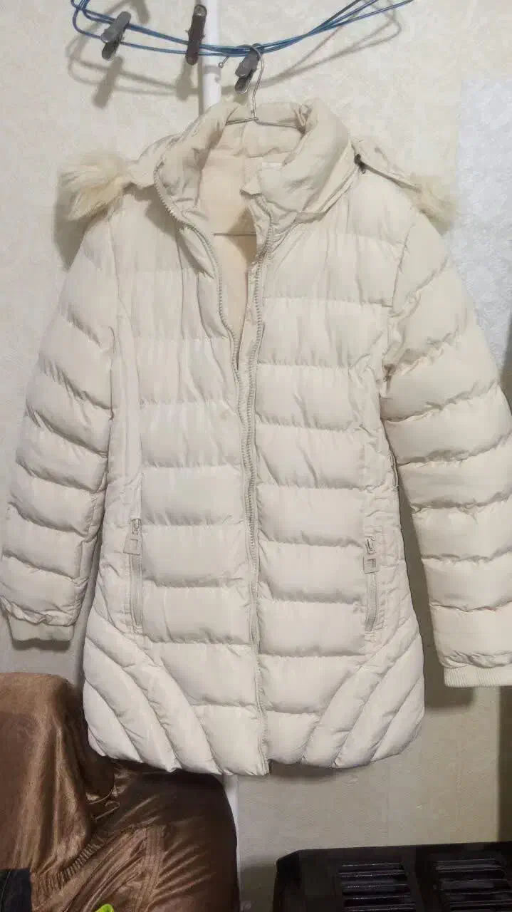 کاپشن نو|لباس|اراک, |دیوار