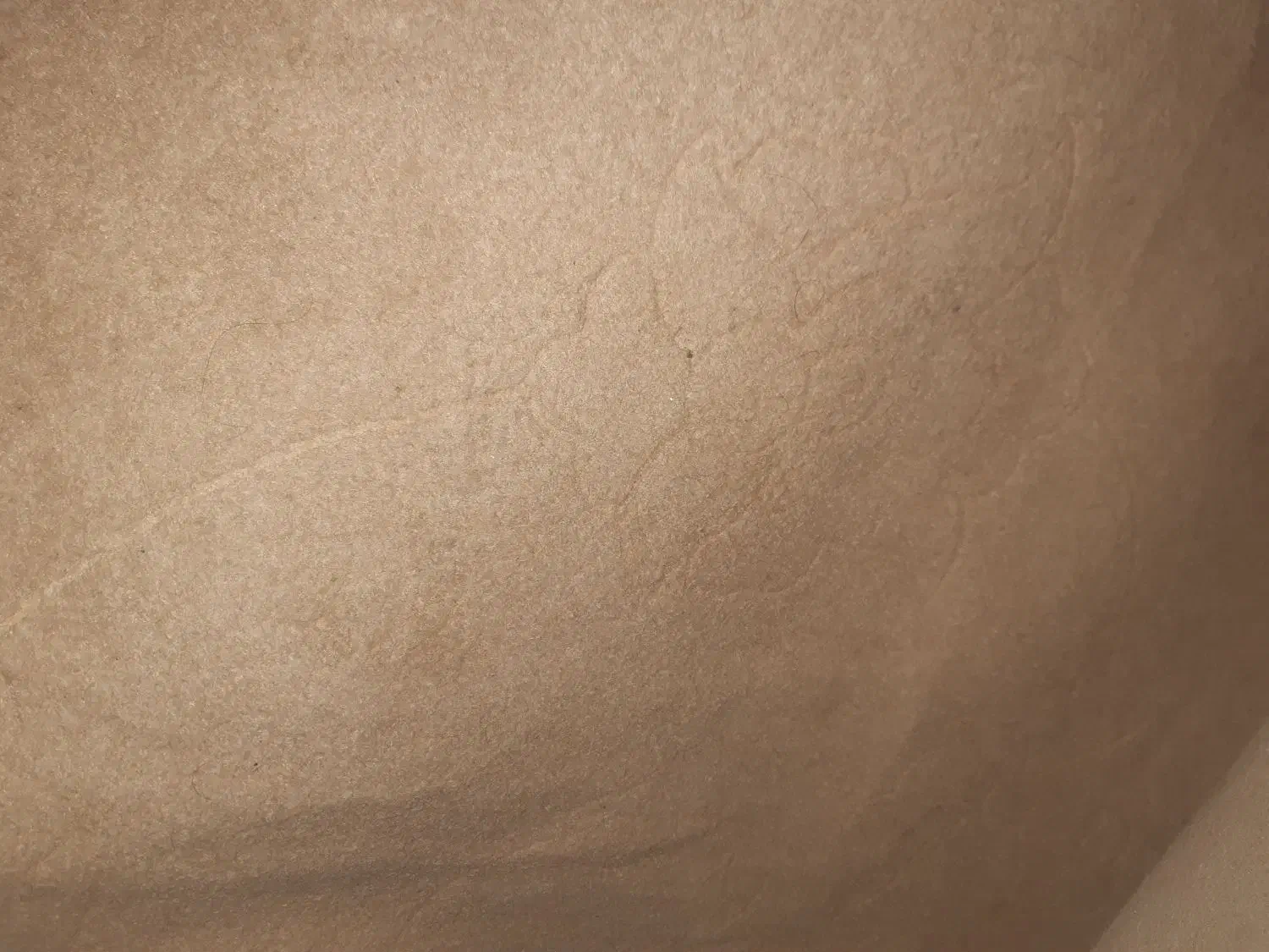 قالی وموکت|فرش|کارون, |دیوار