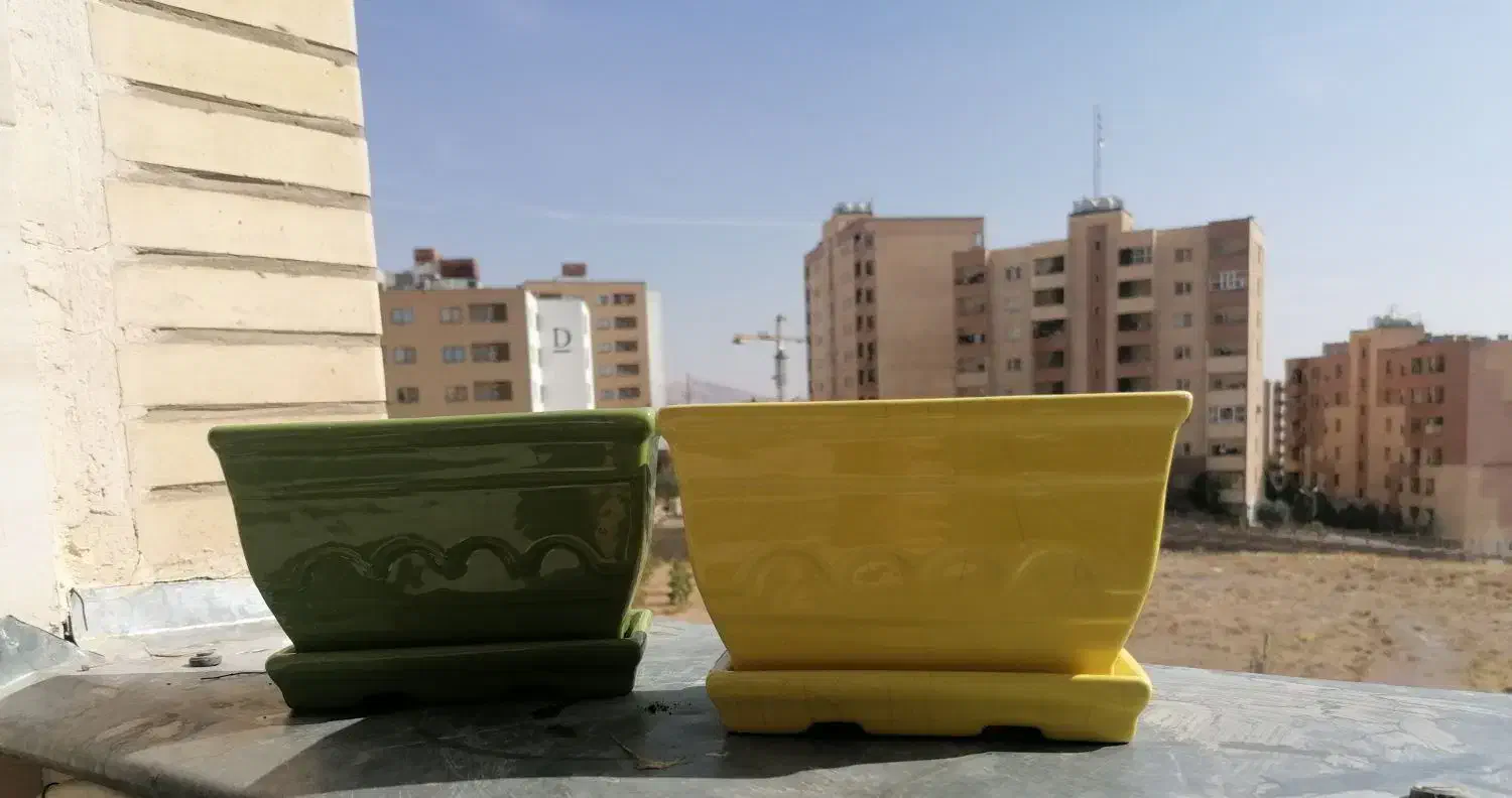 گلدان|گل و گیاه طبیعی|صدرا-فارس, فاز ۱|دیوار