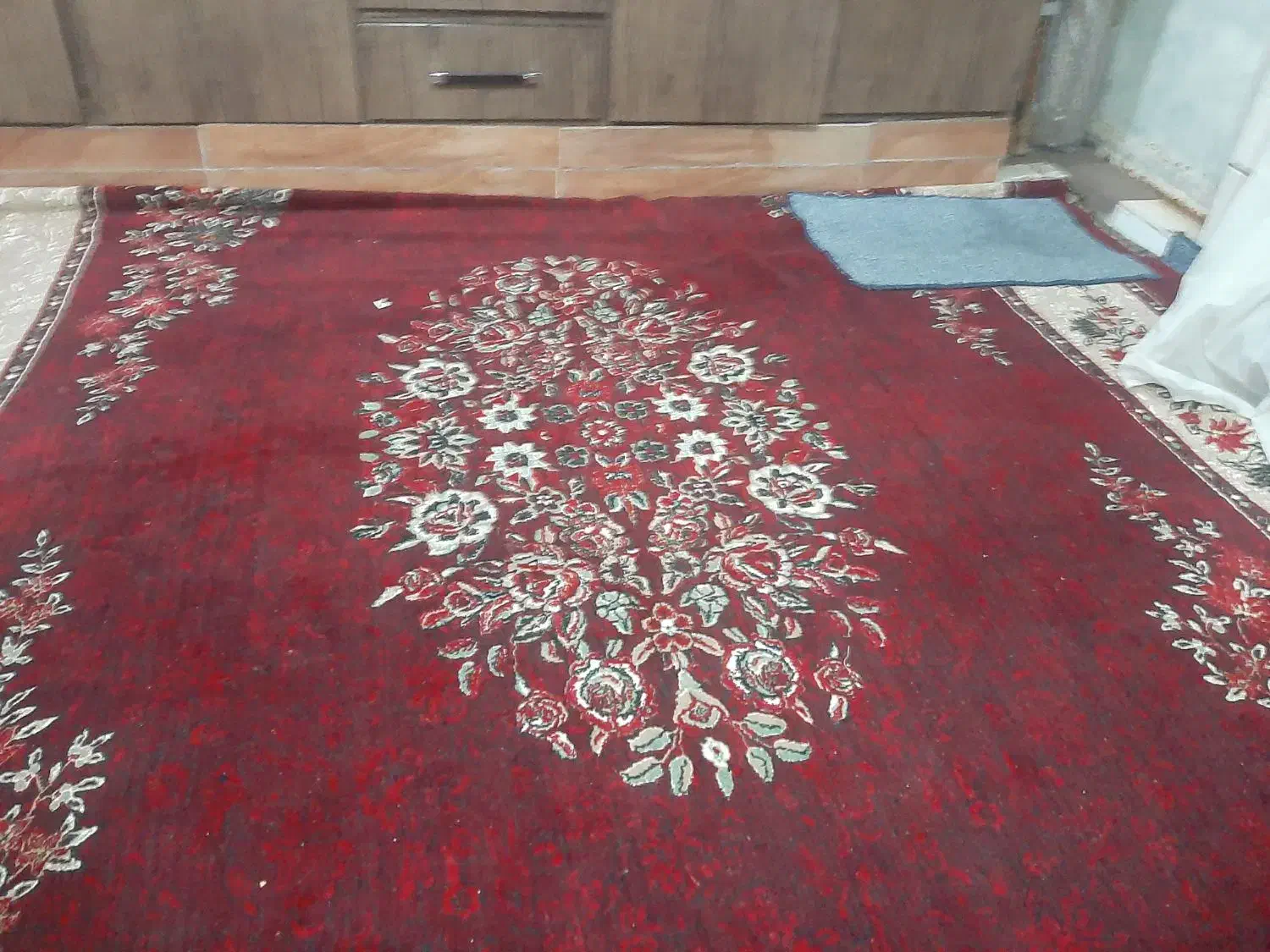 قالی|فرش|بندر ماهشهر, |دیوار