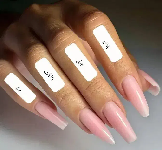 مدل کاشت ناخن رایگان|خدمات آرایشگری و زیبایی|جیرفت, |دیوار