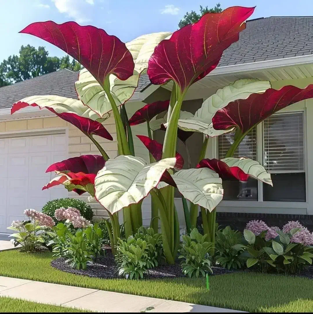 رهن و اجاره|اجارهٔ آپارتمان|باقرشهر, |دیوار