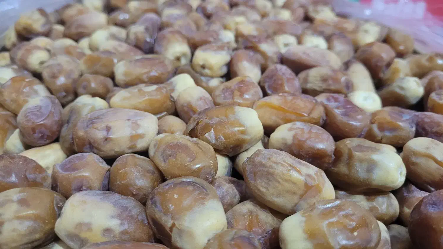 خرمای زاهدی(قسب) سوپر لوکس تضمینی،|عمده‌فروشی|ارم, |دیوار