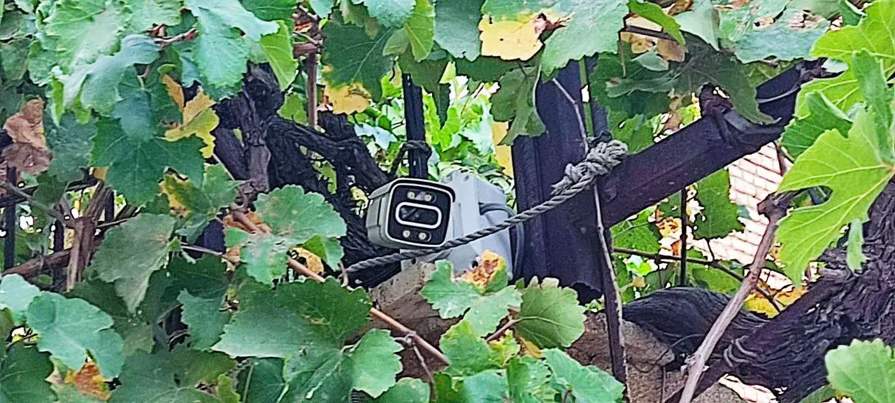 نصاب حرفه ای دوربین|خدمات پیشه و مهارت|سنندج, |دیوار