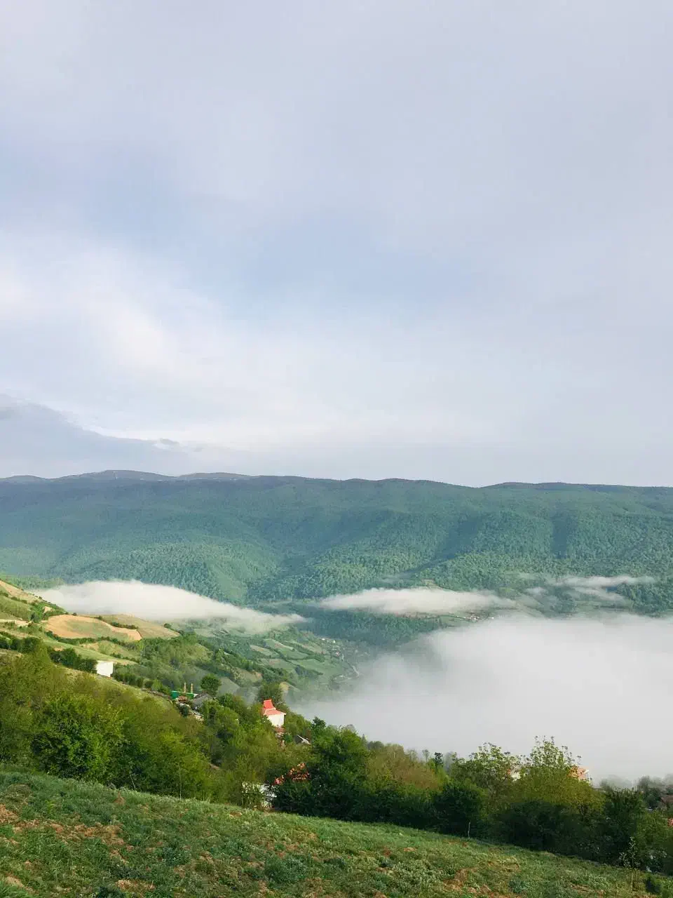 فروش زمین ویلایی|فروش زمین و ملک کلنگی|لواسان, |دیوار