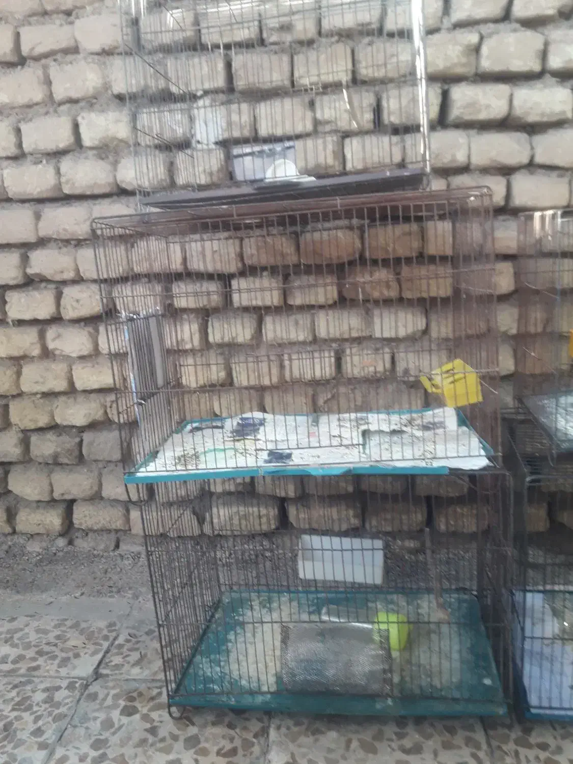 ۵ عدد قفس بزرگ همه باهم|لوازم جانبی حیوانات|اهواز, زرگان|دیوار