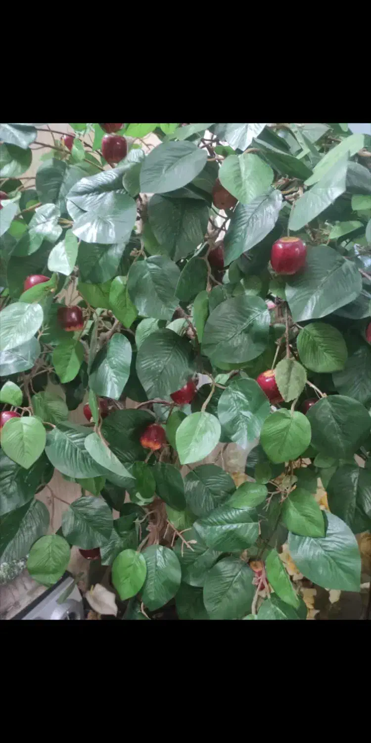 گل درختی مصنوعی|گل مصنوعی|قزوین, |دیوار