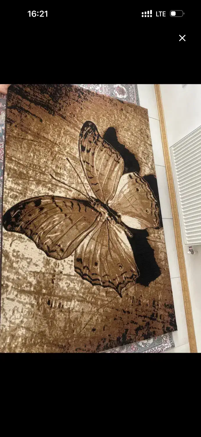 فرش|فرش|کرج, باغستان|دیوار