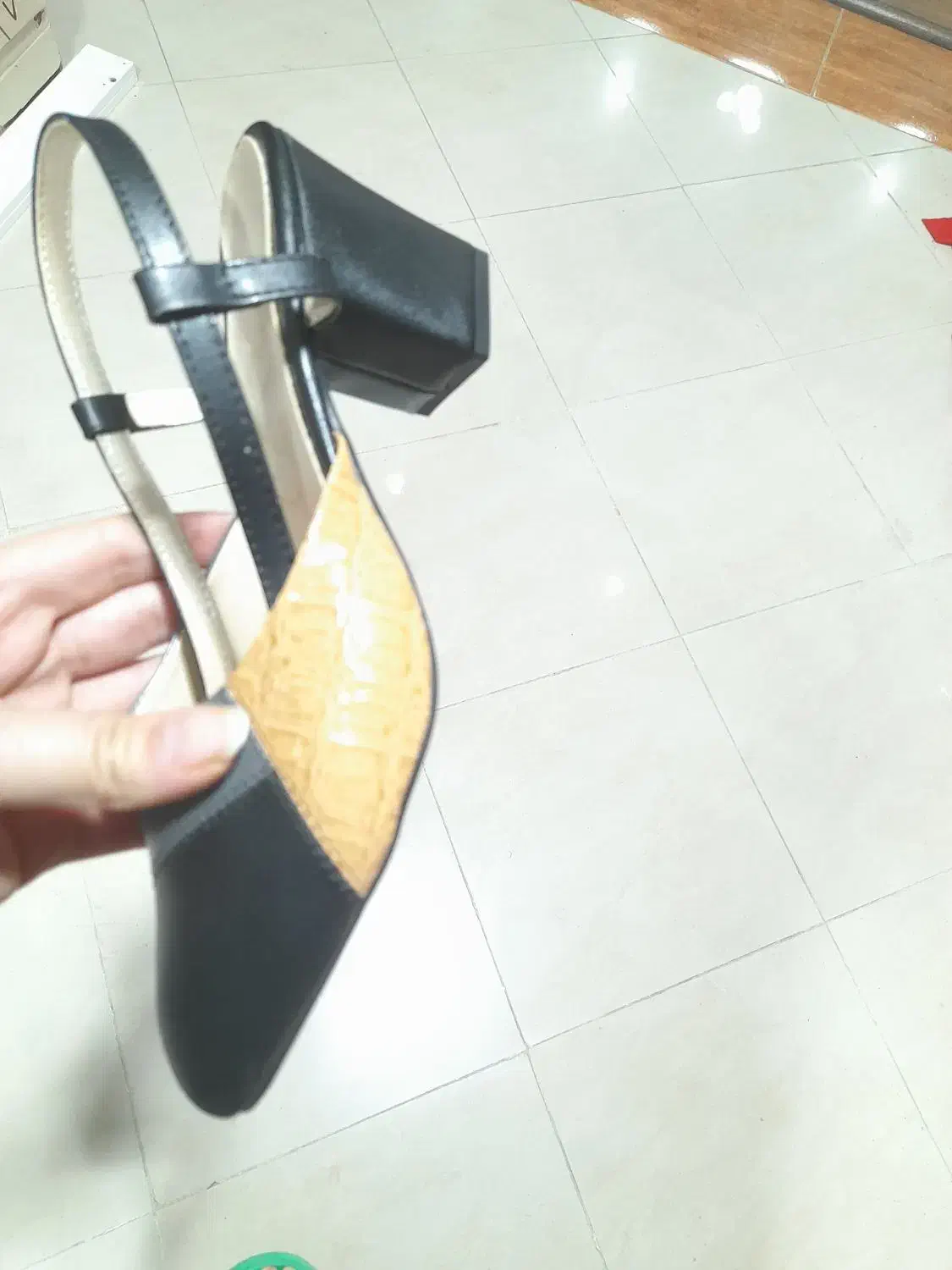 کفش شیک پا|کیف، کفش، کمربند|اردبیل, |دیوار