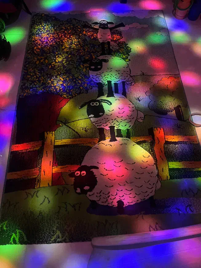 فرش کودک|فرش|رودهن, |دیوار