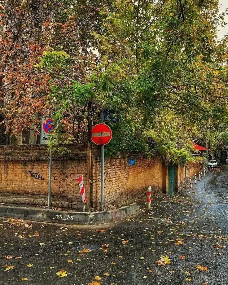 راهنمایی|فعالیت داوطلبانه|قم, باغ کرباسی|دیوار