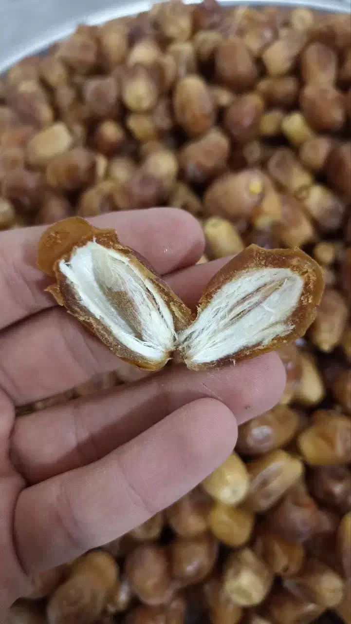خرما زاهدی درجه یک|خوردنی و آشامیدنی|تهران, افسریه جنوبی|دیوار