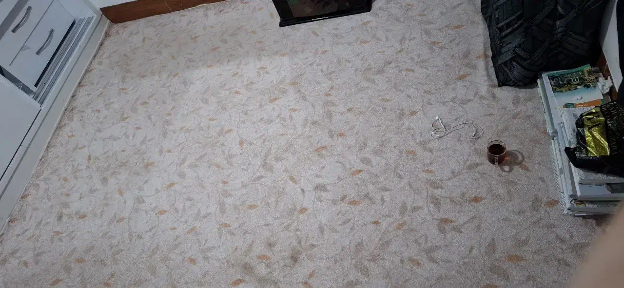 فرش ۱۲۰۰شانه 8میلیوتپالازموکت رنگ کرم1 وطوسی1500|فرش|مهاباد (آذربایجان غربی), |دیوار