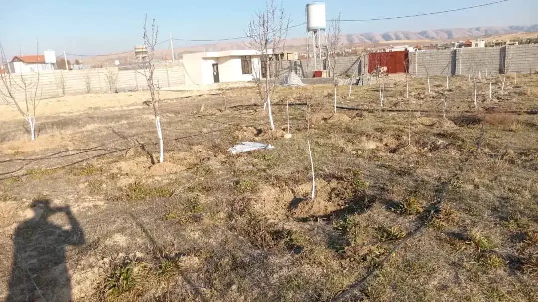 فروش باغشهری|فروش خانه و ویلا|سیاخ دارنگون, |دیوار