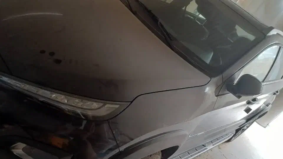 x22pro|خودرو سواری و وانت|شیراز, وصال|دیوار