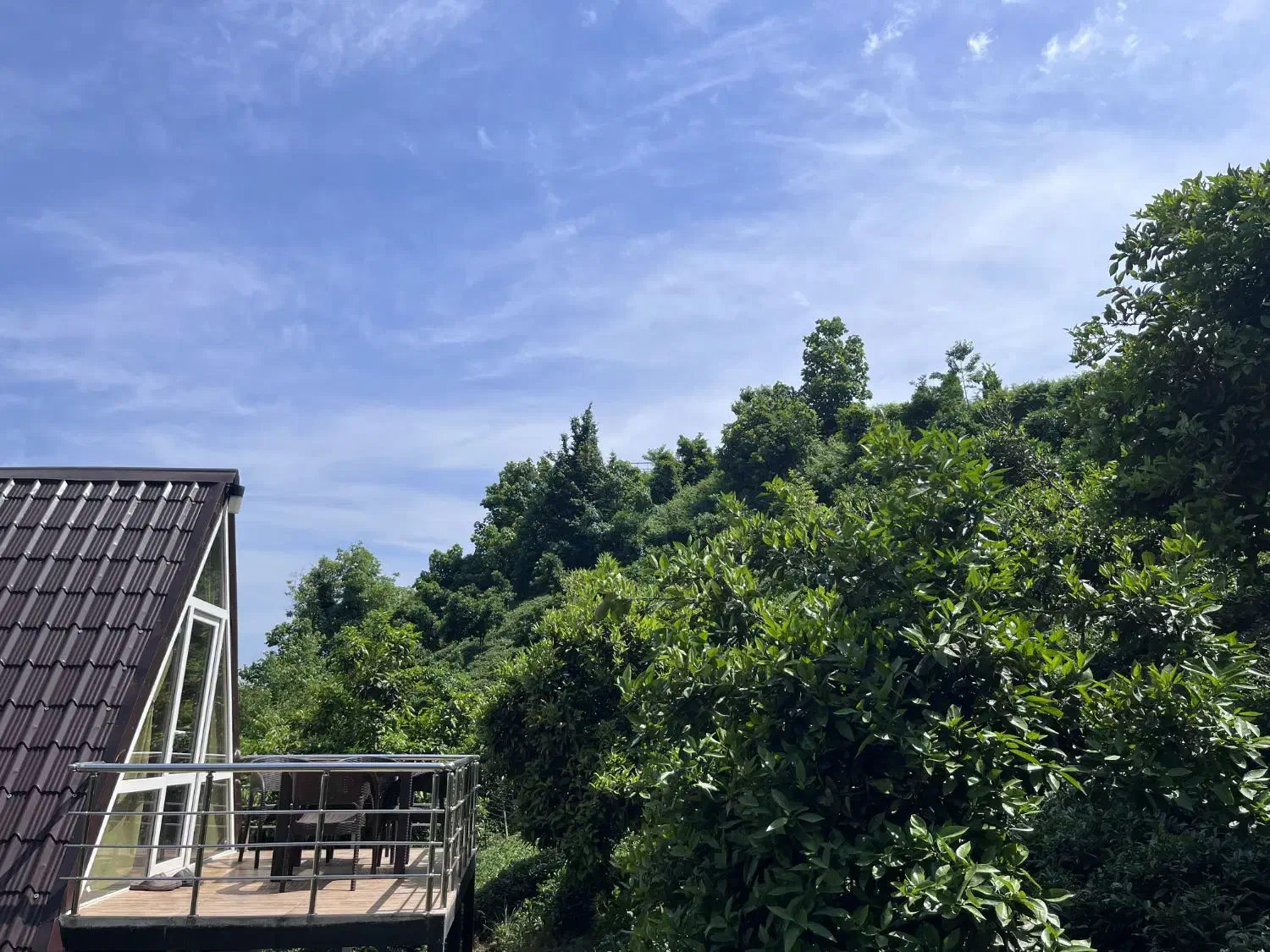 اجاره کلبه سوئیسی لاهیجان|اجارهٔ کوتاه‌مدت آپارتمان و سوئیت|لاهیجان, کوه بیجار|دیوار