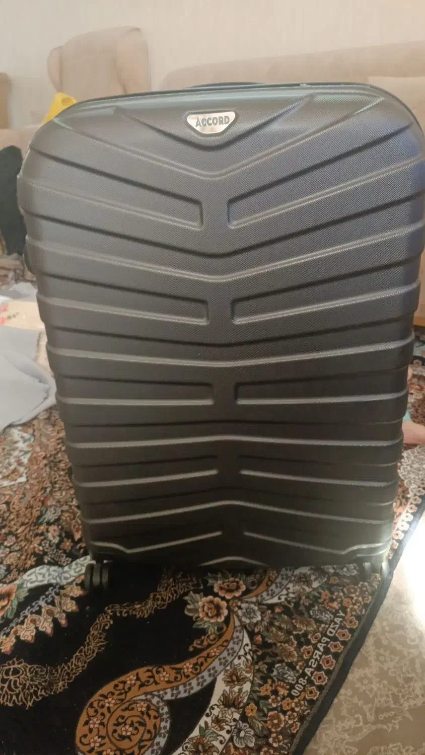 چمدان|کیف، کفش، کمربند|شیراز, شهرک استقلال|دیوار