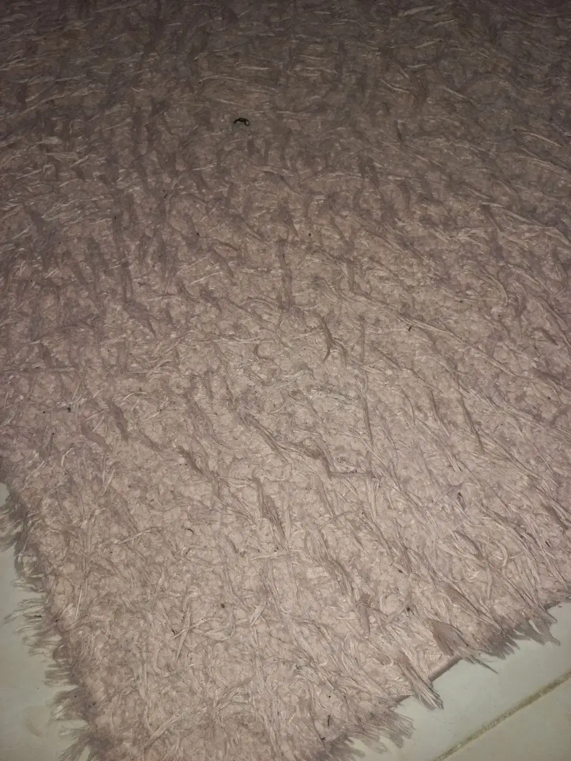 فرش شگی|فرش|اردبیل, |دیوار