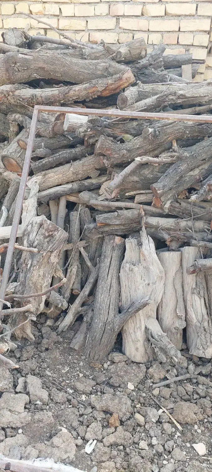 چوب بریده شده گردو و بادام خشک شده تنه دار|عمدهفروشی|گلپایگان, |دیوار