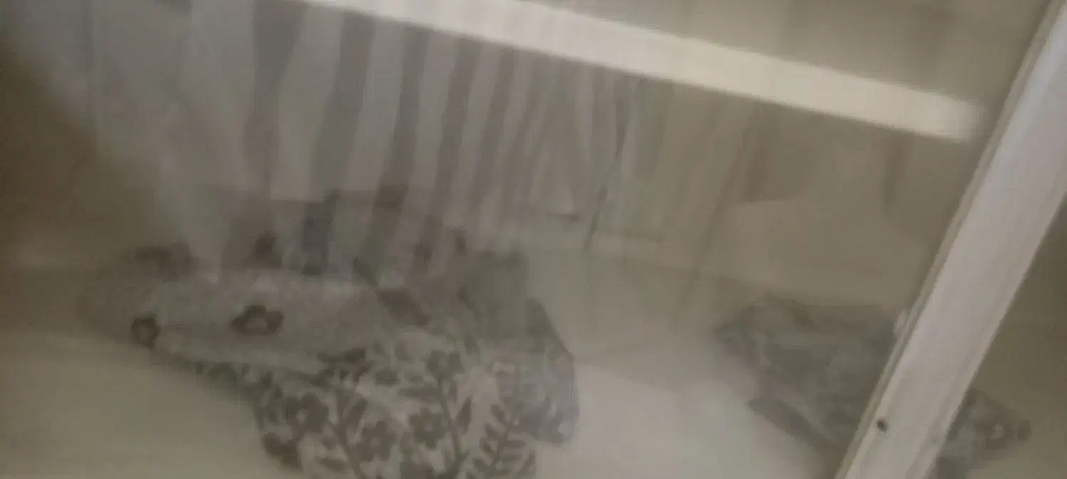 ویترین مغازه|بوفه، ویترین، کنسول|یزد, |دیوار