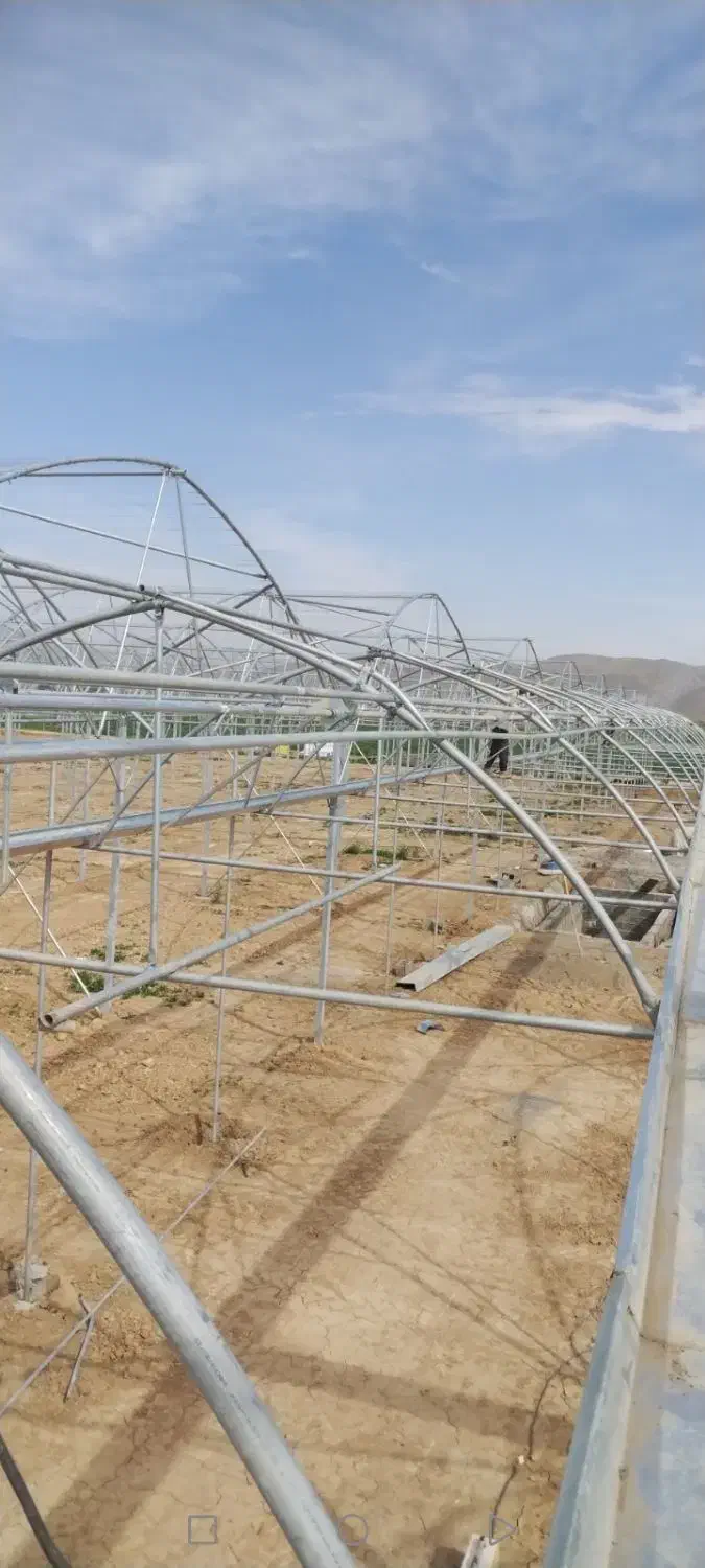 ساخت گلخانه|خدمات باغبانی و درختکاری|سیستان, |دیوار