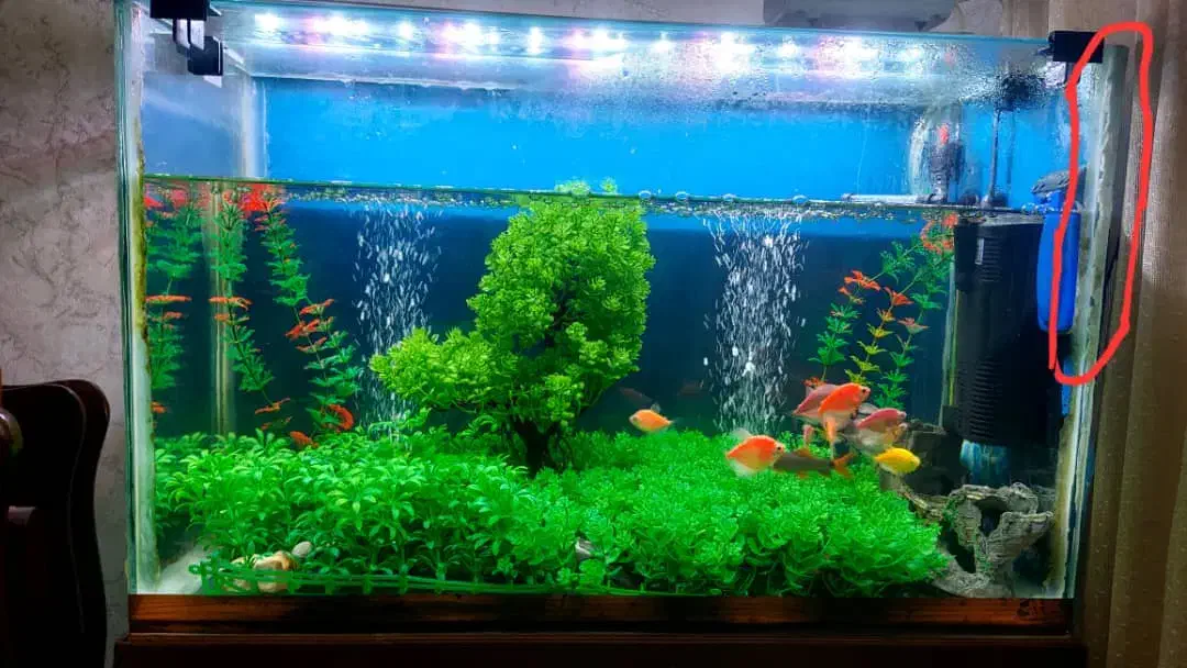 باکس ، آکواریوم ، همه مدل|ماهی|تهران, افسریه شمالی|دیوار