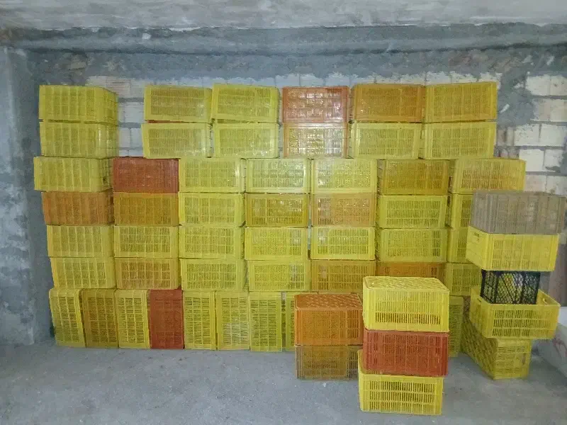 سبد میوه|ظروف نگهدارنده، پلاستیکی، یکبارمصرف|سراب, |دیوار