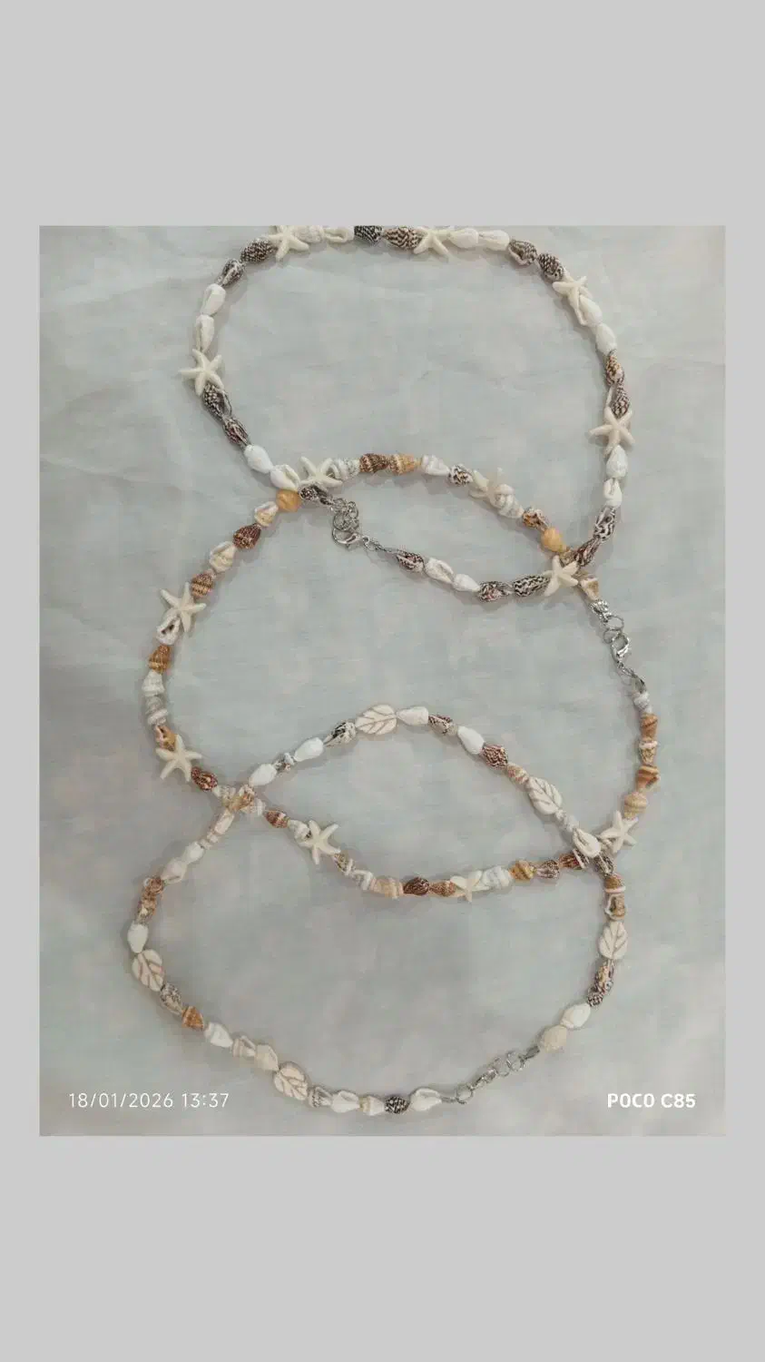 گردنبد صدفی|بدلیجات|تهران, میدان میوه و تره‌بار مرکزی|دیوار