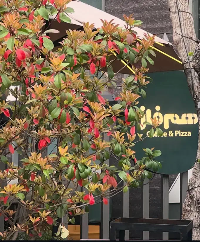 سکشن بار|استخدام خدمات فروشگاه و رستوران|تهران, درختی|دیوار