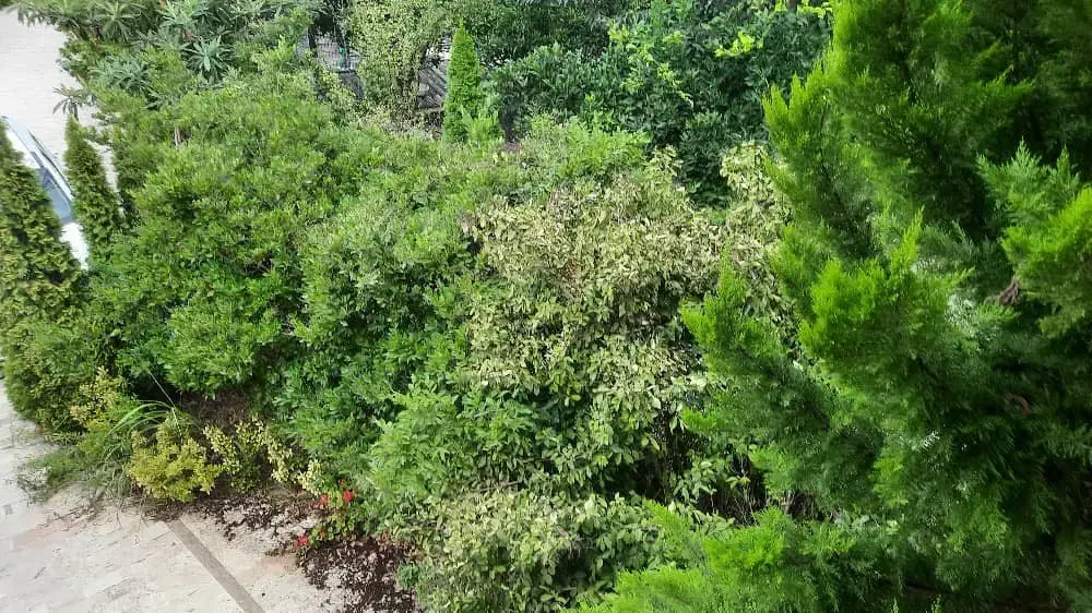 ویلادوبلکس/ویوجنگل/کد۴۲۲۳/حبوباتی|اجارهٔ خانه و ویلا|رویان, |دیوار