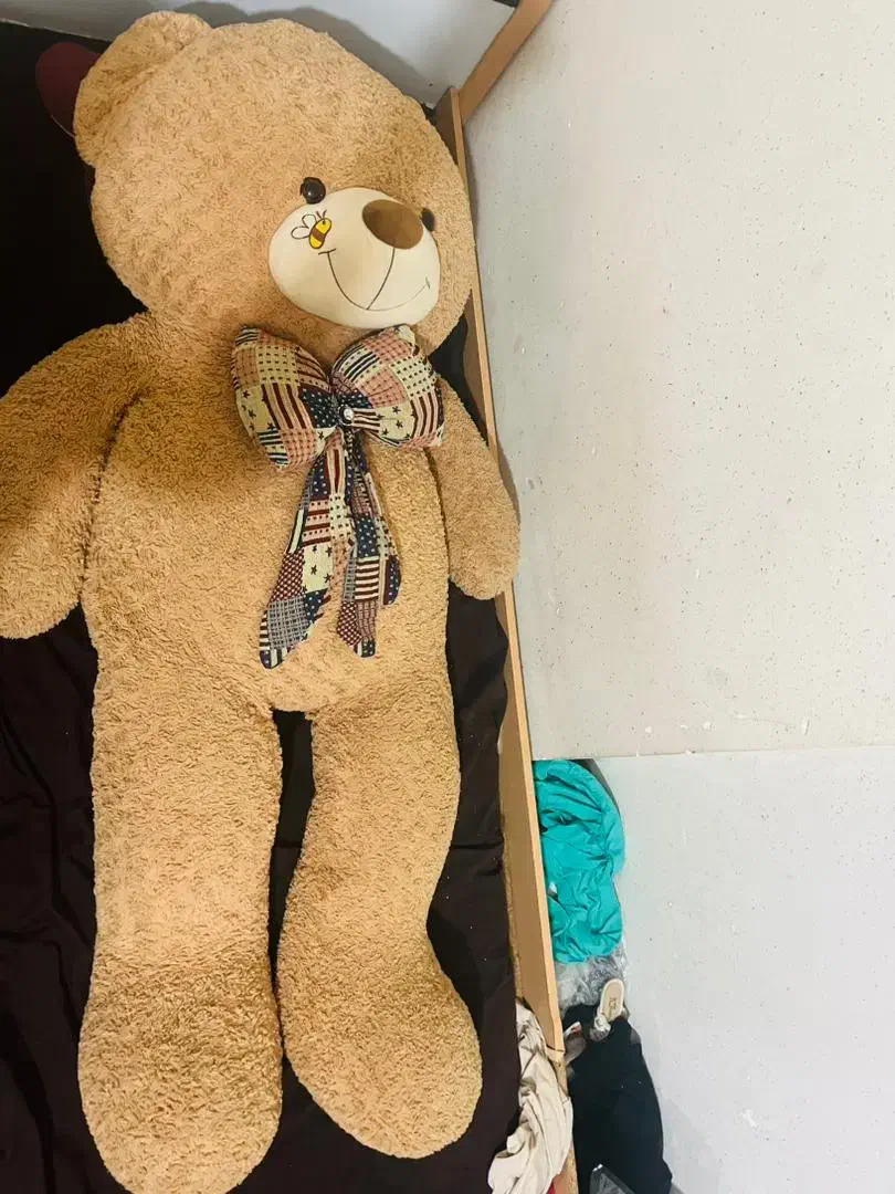 خرس بزرگ|اسباب‌بازی بچه|دهدشت, |دیوار