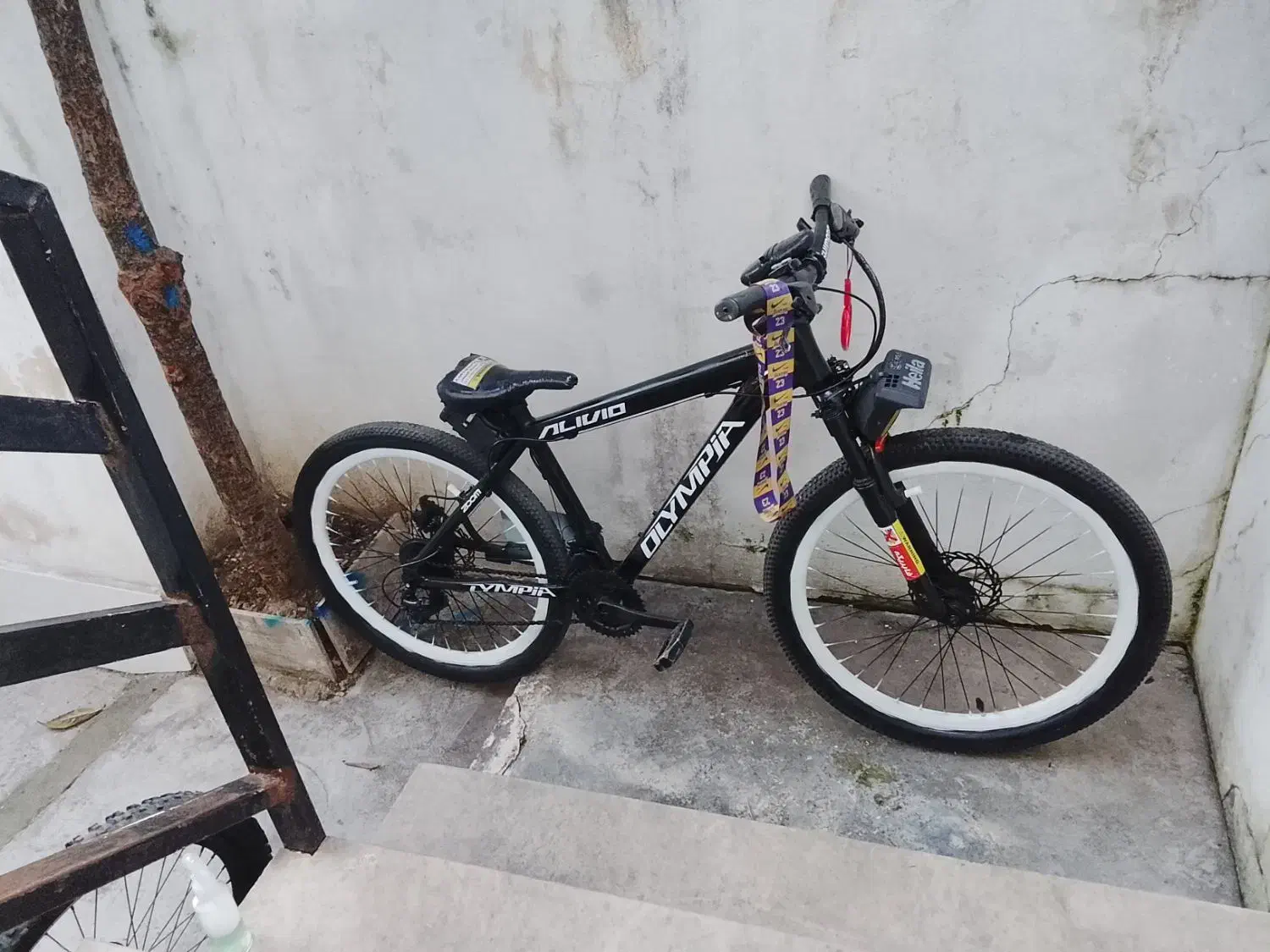 دوچرخه فروشی|دوچرخه، اسکیت، اسکوتر|نوشهر, |دیوار